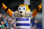 Spark the Tiger - QPR mascot