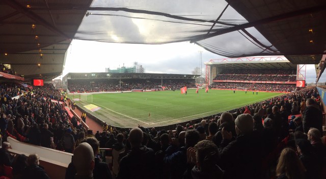 forest away